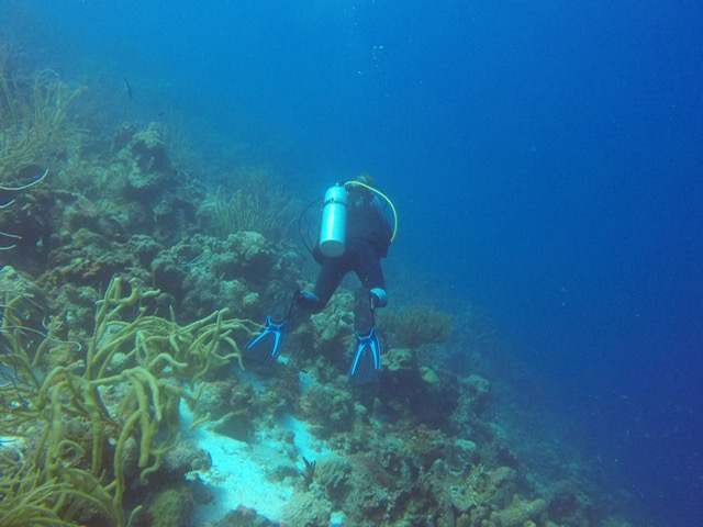 Duiken op Bonaire